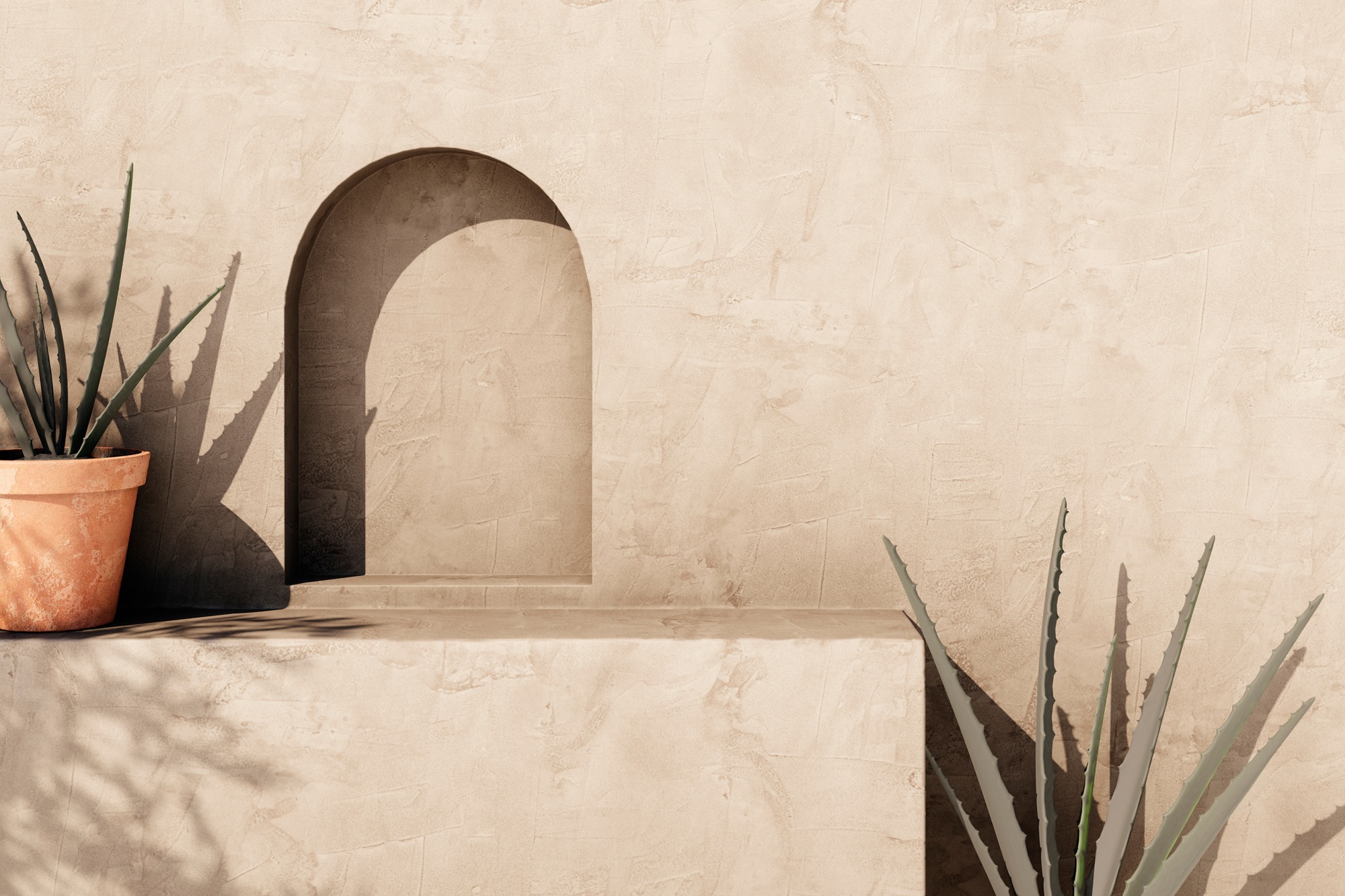 Empty,Texture,Stucco,Wall,With,Shade,And,Aloe,Clay,Pot.